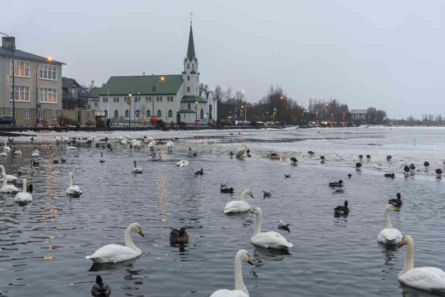 Islandia 014 - Reykjavik - Iglesia Libre de Reikjavik luterana.jpg